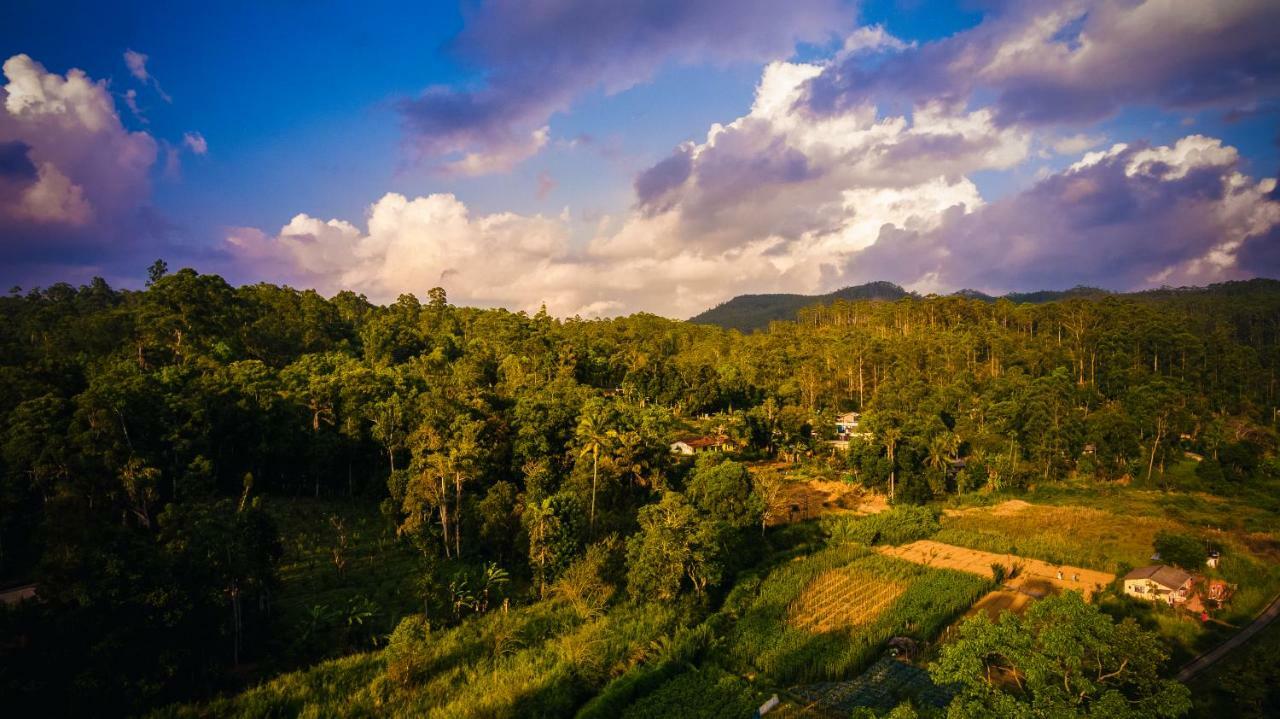 Ella Breeze Homestay Esterno foto